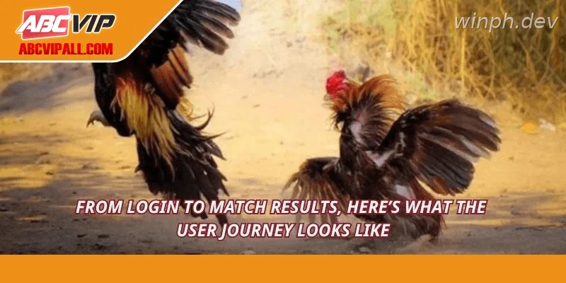 From login to match results, here’s what the user journey looks like