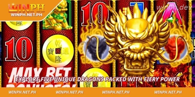 Explore five unique dragons packed with fiery power